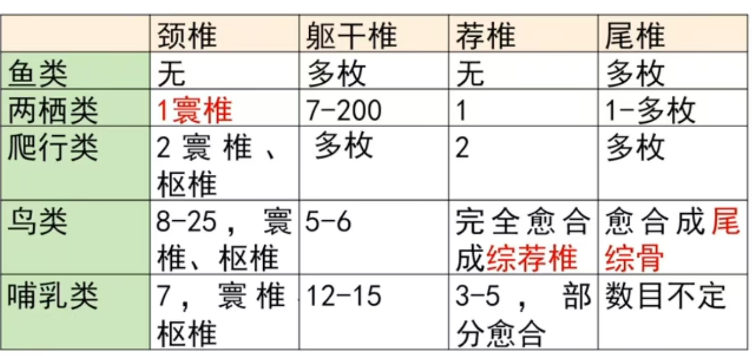 image-20250620110509724